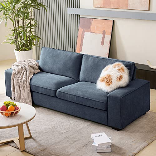 Coosleep Modern Sofas Couches For Living Room, Loveseat Sofas & Couches With Removable Sofa Cushion And Detachable Sofa Cover, Solid Wood Frame And Serpentine Spring,Easy To Install (Blue) #TOP5