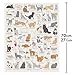 Ridley's Cat Lover's 1,000-Piece Jigsaw Puzzle – Cat Puzzle with Informational Image about Different Breeds, Sturdy Storage Tube Included – Activity Puzzle – Makes a Great Gift