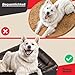 all Pets United® Hundekissen Hundebett Indoor & Outdoor; Hunde-Kissen Hunde-Körbchen; Schlafplatz für Hund & Katzen (L - 100x70 cm)