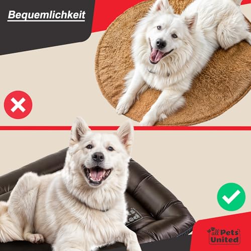 all Pets United® Hundekissen Hundebett Indoor & Outdoor; Hunde-Kissen Hunde-Körbchen; Schlafplatz für Hund & Katzen (L - 100x70 cm)
