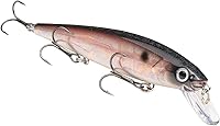 Vista 30 de Strike King KVD Jerkbait 3 Gancho