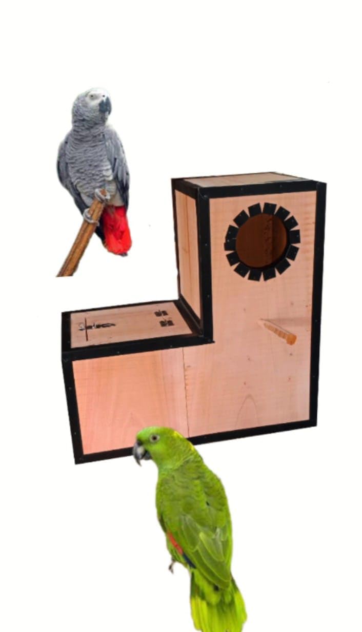 Grey Parrot breeding Box(Wood) (B0BXJQX21K) Amazon Price History, Amazon Price Tracker