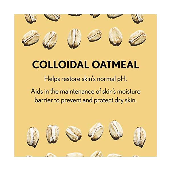 Aveeno-Daily-Moisturizing-Body-Lotion-with-Soothing-Oat-and-Rich-Emollients-to-Nourish-Dry-Skin-Gentle-Fragrance-Free-Lotion-is-Non-Greasy-Non-Comedogenic-18-Fl-Oz Aveeno Daily Moisturizer, Body Lotion, For Dry Skin, Prebiotic Oat Fragrance Free, 18 fl. oz, Pack of 1