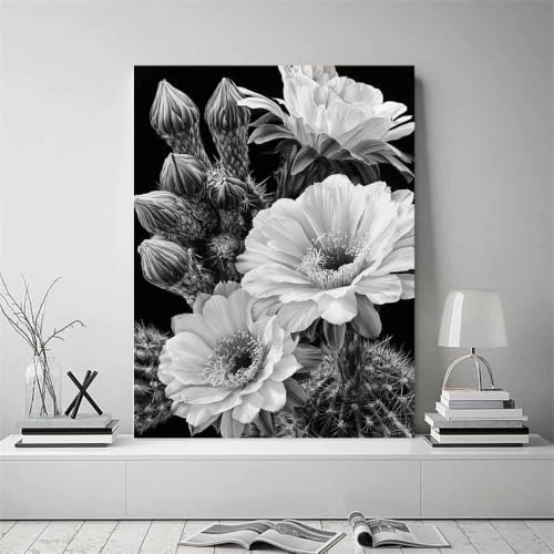 Fleur de cactus affiche noir et blanc HOQIU grand format pour habiller un mur vide