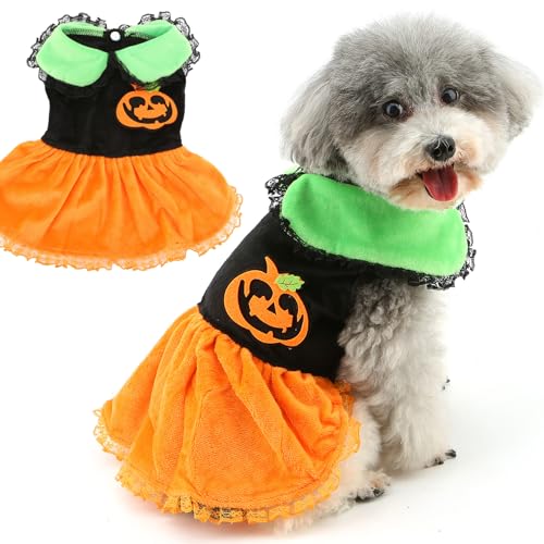 Zunea Dog Halloween Costume for Small Dogs Puppy Pumpkin Dresses Soft Velvet Holiday Dress Funny Pet Doggy Cats Costumes Outfits Fleece Chihuahua Dress Up Apparel XL