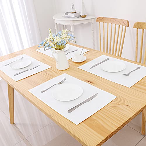 Randall Waffle Stripe Placemats 4Pcs Set Heat Insulated Resistant Spot Clean Machine Washable, Soft And Durable For Kitchen Dining Office Farmhouse (12''×18'', White) #TOP5