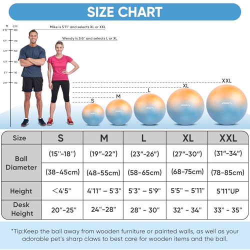 Image of APEXUP Yoga Ball, 660 lbs Anti-Burst Exercise Ball with Pump, 5 Sizes