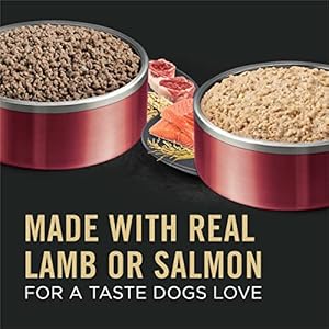   Purina-Pro-Plan-Sensitive-Skin-and-Stomach-Dog-Food-Pate-Salmon-and-Rice-and-Lamb-and-Oat-Meal-Wet-Dog-Food-Variety-Pack-Pack-of-12-13-oz-Cans