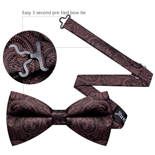Image of Barry.Wang Paisley Striped Bow Tie for Men Silk Pre-Tied Bowtie Pocket Square Cufflinks Set Formal Wedding Party Prom