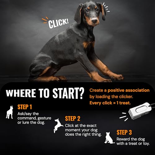 Devault Gear Dog Clicker Detail
