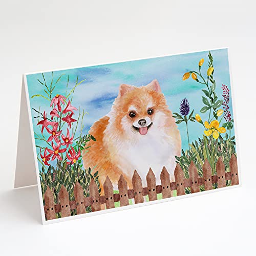 Caroline's Treasures CK1278GCA7P Pomeranian #2 Spring Greeting Cards and Envelopes Pack of 8 Blank Cards with Envelopes Whimsical A7 Size 5x7 Blank Note Cards