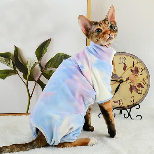 Body pour chaton sans poils contre le froid et les frissons