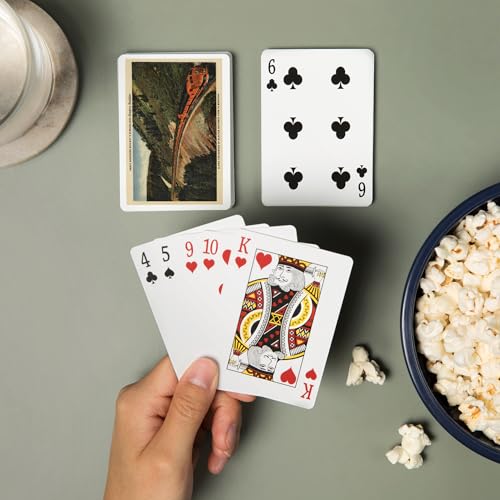 Baraja Poker 52 Cartas Vintage Glacier National Park miniatura 2