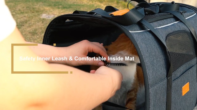 morpilot Pet Travel Carrier Bag, Soft-Sided Dog Carrier Cat Carrier Pet Carrier (18 x 12.5 x 14 Inches), for Large Cats… - Image 7