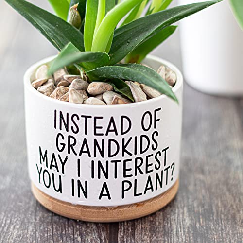 Jenvio Gifts For Mom From Daughter | Ceramic Succulent Pot Plant | Cool Birthday Mothers Day Son Planter Stuff | Unique Gift | Home Kitchen Office Decor 3.6 Inch (Plant Not Included) #TOP2