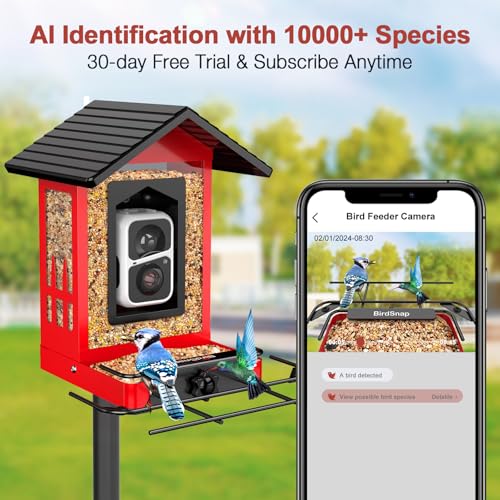 Image of birdsnap APS Metal Bird Feeder with Camera Solar 2K Video with 32GB Card