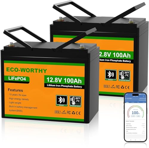 ECO-WORTHY 2Pack 12V 100AH LiFePO4 Battery for RV, Boat, Camping,Off Grid System-Group 24 Size with Bluetooth & Low Temp Protection