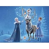 N//C Frozen 5D DIY Diamant Painting,Frozen Diamant Painting Bilder, Frozen Diamond Painting Kinder&Erwachsene,Diamond Painting Eiskönigin, für Entspannung und Heim-Wanddekoration (30x40cm)