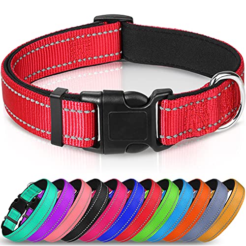Comparison of Best Dog Collars Quick Release Top Picks 2023 Reviews