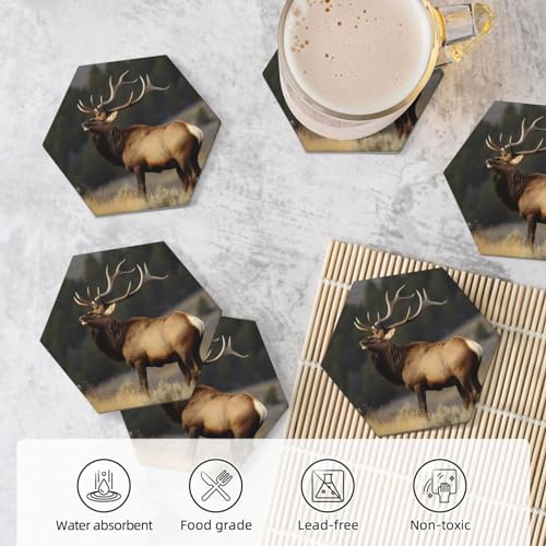 Dessous de verre céramique support métal liège décoration intérieur