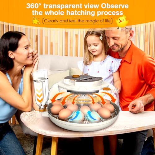 MQUPIN Incubadora de 18 ovos para incubação, incubadoras para incubação de ovos com rotação automáti