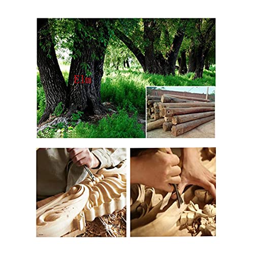 Support en bois rustique pour bonsaï et plantes d'intérieur au design élégant - 4