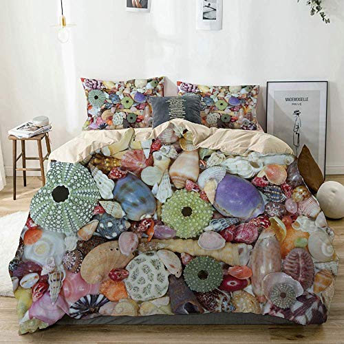 Juego de funda nórdica en color beige, foto de primer plano de varias conchas marinas grandes y coloridas que se recogen de la imagen de la costa, juego de cama decorativo de 3 piezas con 2 fundas de