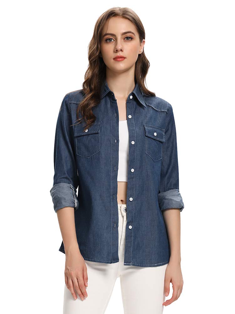 Aeslech Chambray Button Down