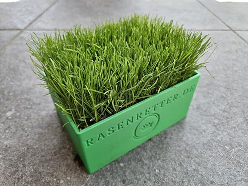 Rasenziegelstecher/Rasensodenstecher mit passender Saatbox (Rasenziegelstecher mit Einer Saatbox)