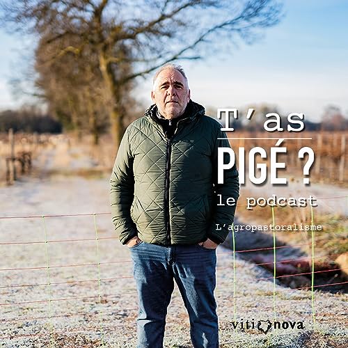 T'as pig&eacute; ? l'agropastoralisme, par Christophe Muret du Domaine de Castelnau