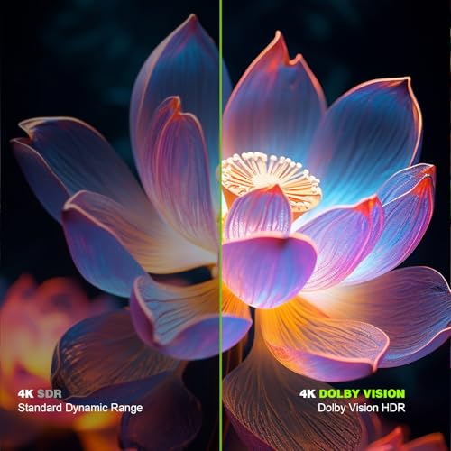 BOXPUT Set Top Box Q5 PLUS TV Box, Android 11 Systeem, S905W2 chip, BT5.2 Dual WiFi 2.4G/5G, 4-core 4K decodering TV Box (2GB/16GB) - Afbeelding 5