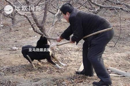 federa di raso per capelli per bambini