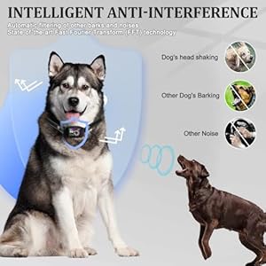 Bark Collar, Dog Bark Collar for Large Medium Small Dogs, Smart Bark Collar, Rechargeable Anti Barking Training Collar with 5 Adjustable Sensitivity Beep Vibration Shock (Black)