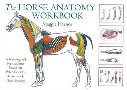 Horse Anatomy Workbook (Allen Student) by Raynor, Maggie Spi Edition (2006)