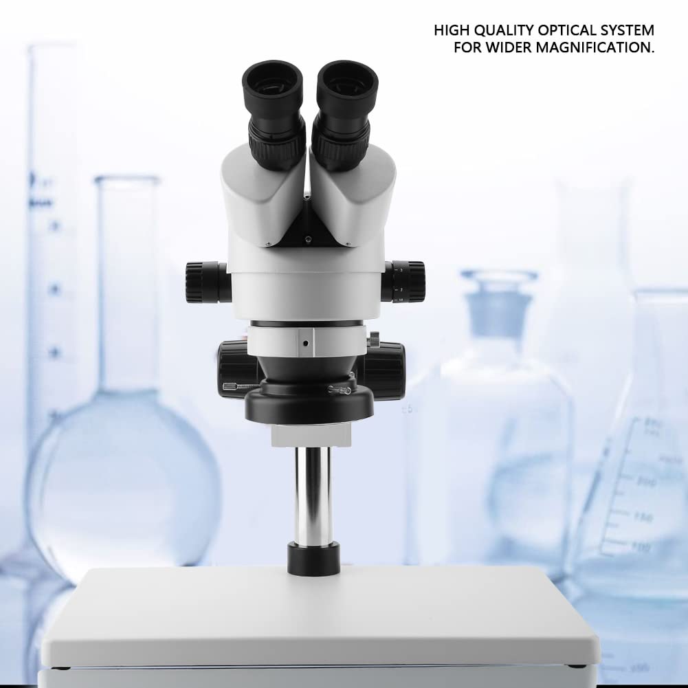 Microscopio Estéreo Binocular ,Visión Binocular Ajustable Microscopio con Zoom Binocular de Larga Distancia para Arqueología de Joyería(Enchufe de la UE)