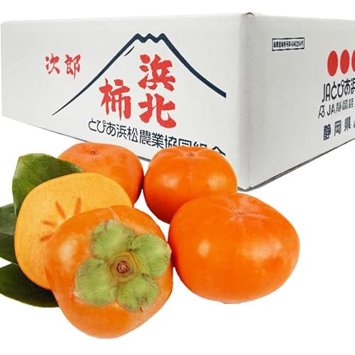 lkYY`iIn͔|jyGizʃTCY24i6.5LEp_{[j