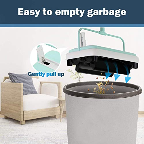 image for Eyliden Carpet Sweeper, Mini Size Lightweight Hand Push Carpet Sweeper