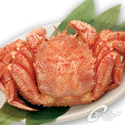 超アニソンフェス カニ Do Luck あいう らぶ ニコニコ動画