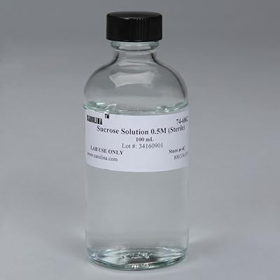 0.5 M Sucrose Solution, 100 mL