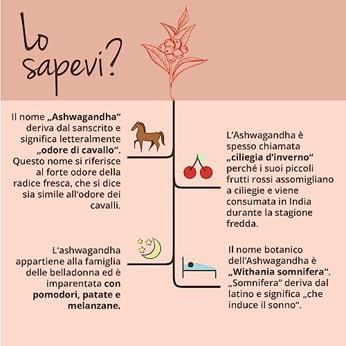 Vegavero Bio organic ashwagandha