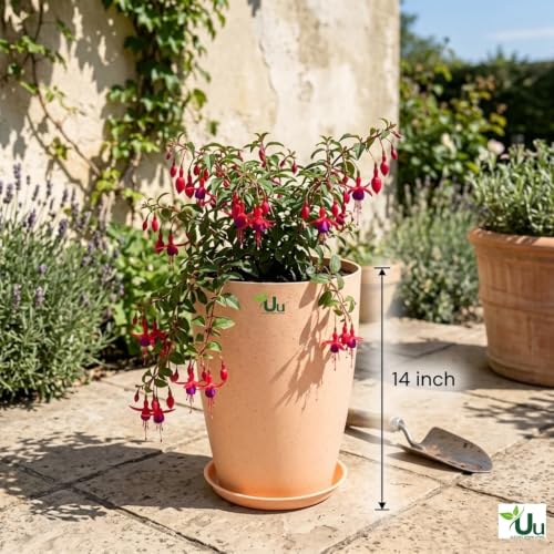 Image of Urban Upvan Beige 14 inch Tower Planter Pot with Tray | Large Indoor Outdoor Decorative Flower Pots for Home, Balcony & Garden (Pack of 2)
