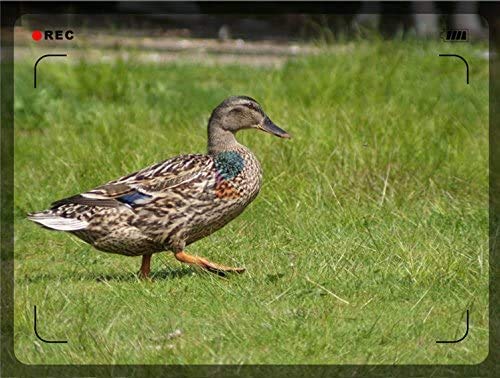 Teleobjetivo profesional 1000 mm manual para cámaras Canon - Fernando Cortés