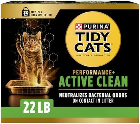 best odor control cat litter for small apartments