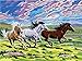 Produktbild ERTQA DIY Ölgemälde, Digital paintingGalloping Pferd auf der prairieCanvas Wandkunst Kunstwerk für Living Office für Erwachsene Kinder Malerei Anfänger 40x50cm