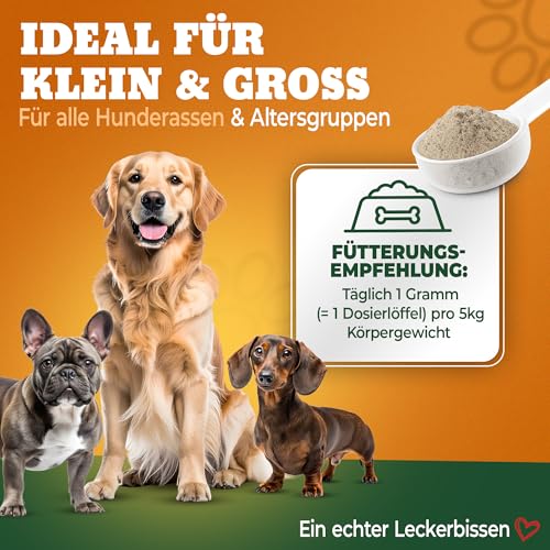 NATIVIVO K1 Relax Komplex Pulver Beruhigungsmittel für Hunde - Baldrian Hanföl & L Tryptophan Hund Beruhigung - Hunde Beruhigungsmittel unterstützend bei Angst & Stress - Beruhigung Hund - 100 Gramm