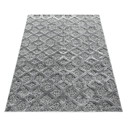 Tapis PISA 4702 gris de 120 x 170 cm au design moderne et finitions soignées