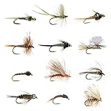 Colorado Fly Fishing Assortment by Colorado Fly Supply - The Best Flies for Colorado Freshwater Fly Fishing