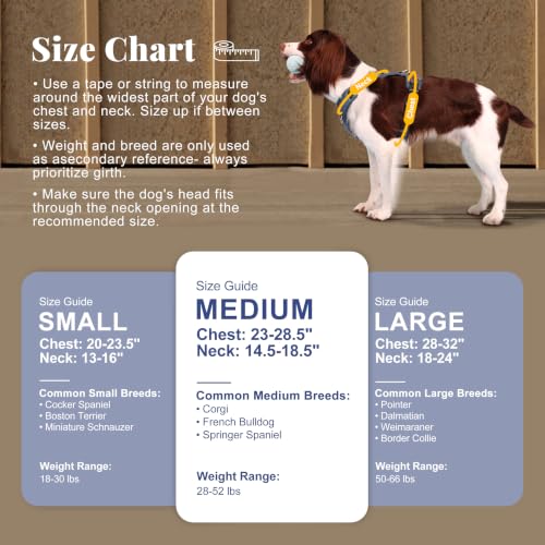 Image of Didog No Pull Dog Harness for Medium Dogs, Classic PU Leather, Blue, M