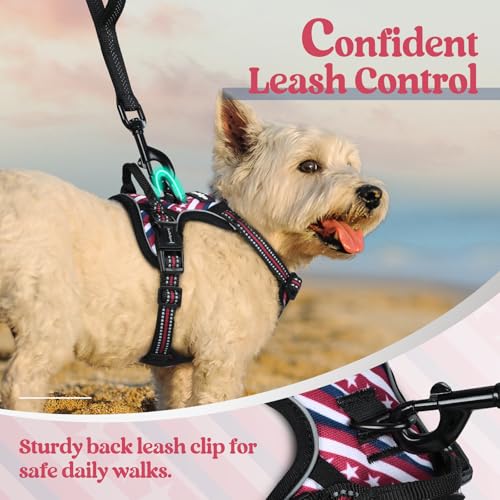 Image of rabbitgoo Dog Harness No Pull with 2 Leash Clips, Adjustable Soft Padded, Reflective Oxford No Choke Pet Vest with Easy Control Handle for Large Dogs, Red Stripe, XS