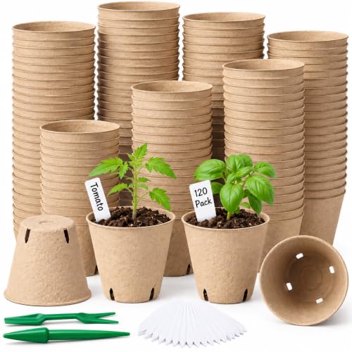 Image of Baxrou 120 Pack 3.15 Inch Peat Pots Plant Starters for Seedling, Biodegradable Herb Seed Starter Pots Kits, Garden Germination Nursery Pot wit 30 Plant Labels, 2 Transplant Tools.